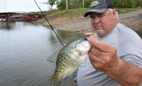 Catch roamers, Scopers don’t hurt? Try crappie dip!