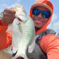 How to find big ones now in the South and North! 👀