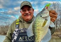 Wally fall tactics, Goldilocks crappie, Fish bridges now