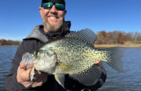 Sharper screens, The darkest piles are best? Fish in reverse?